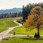 Herbst im Baselland