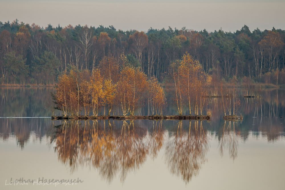 Herbst im Bauernmoor