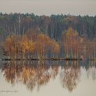 Herbst im Bauernmoor