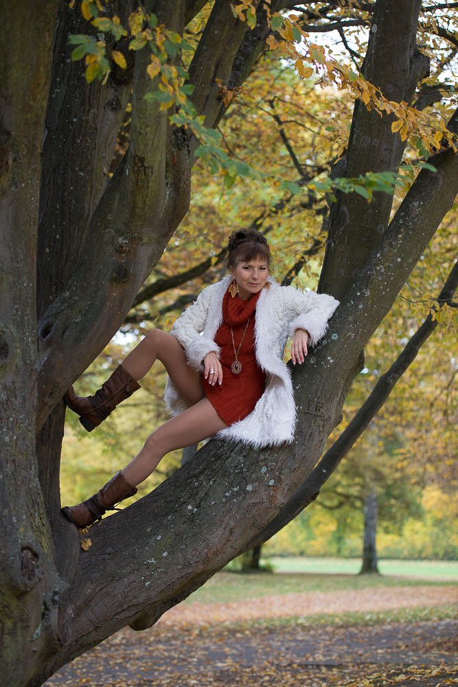 Herbst - im Baum