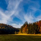 Herbst im bay. Wald - Bayern628