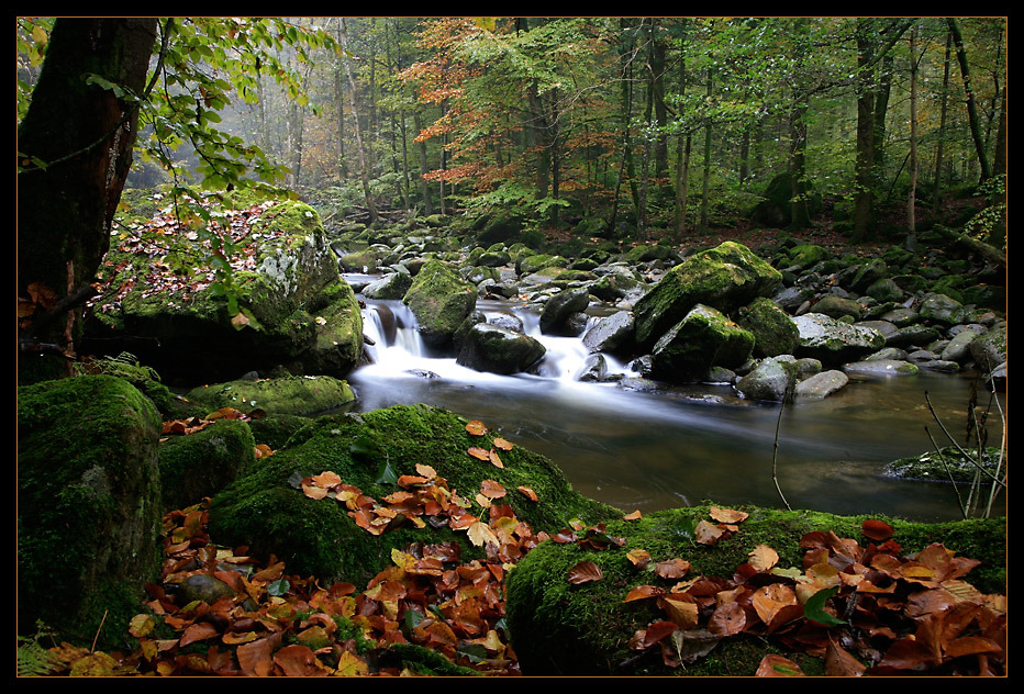 Herbst im Bayerischen Wald