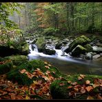 Herbst im Bayerischen Wald