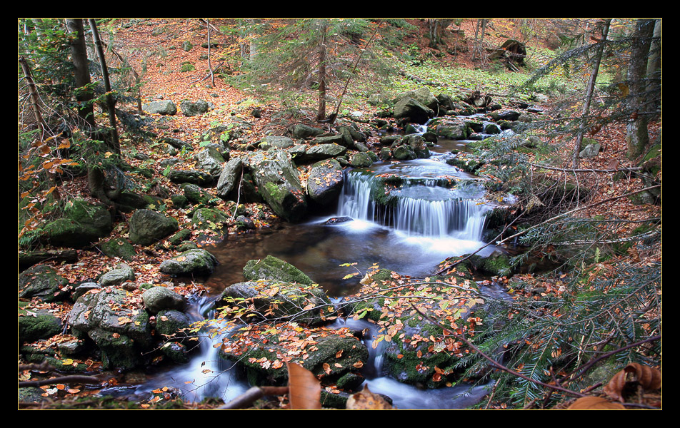 Herbst im Bayerischen Wald