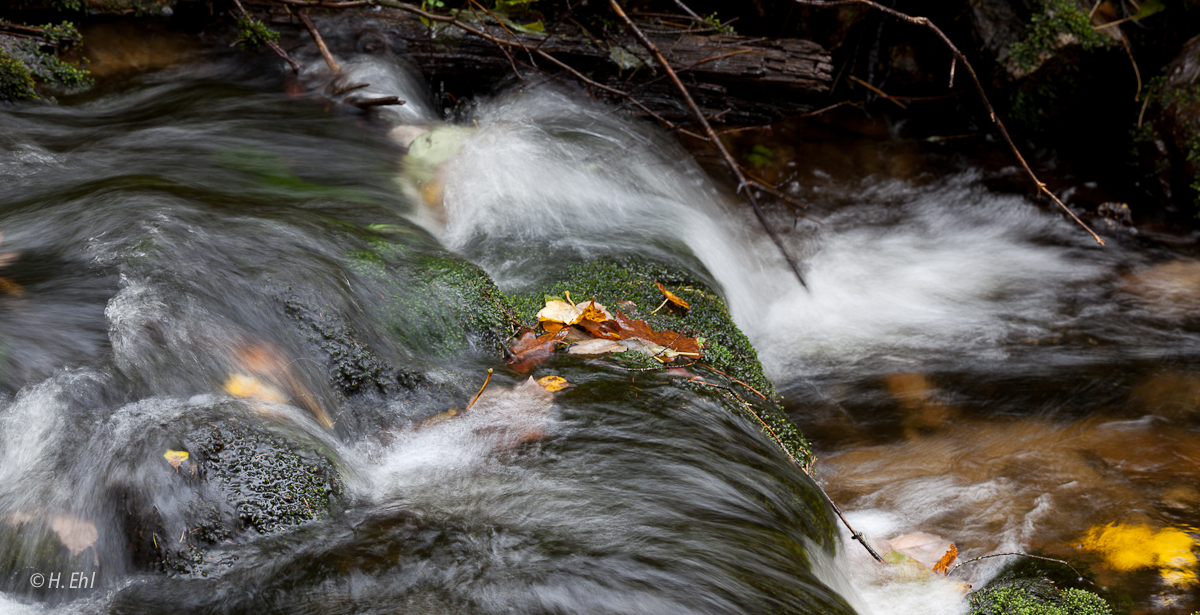 Herbst im Bayerischen Wald