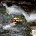 Herbst im Bayerischen Wald