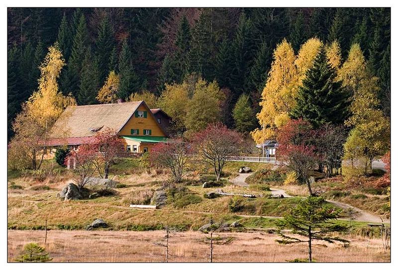 Herbst im Bayerischen Wald