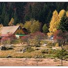 Herbst im Bayerischen Wald