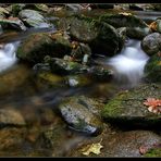 Herbst im Bayerischen Wald IV