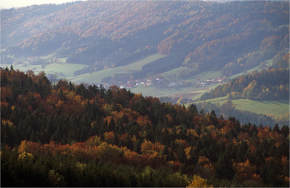 Herbst im Bayerischen Wald Nr.2