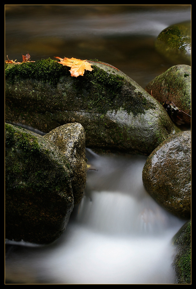 Herbst im Bayerischen Wald VI