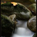 Herbst im Bayerischen Wald VI