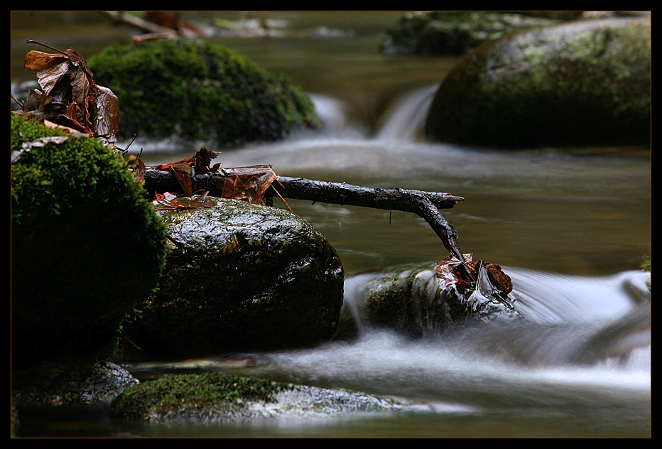 Herbst im Bayerischen Wald XII