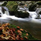 Herbst im Bayerischen Wald XIII