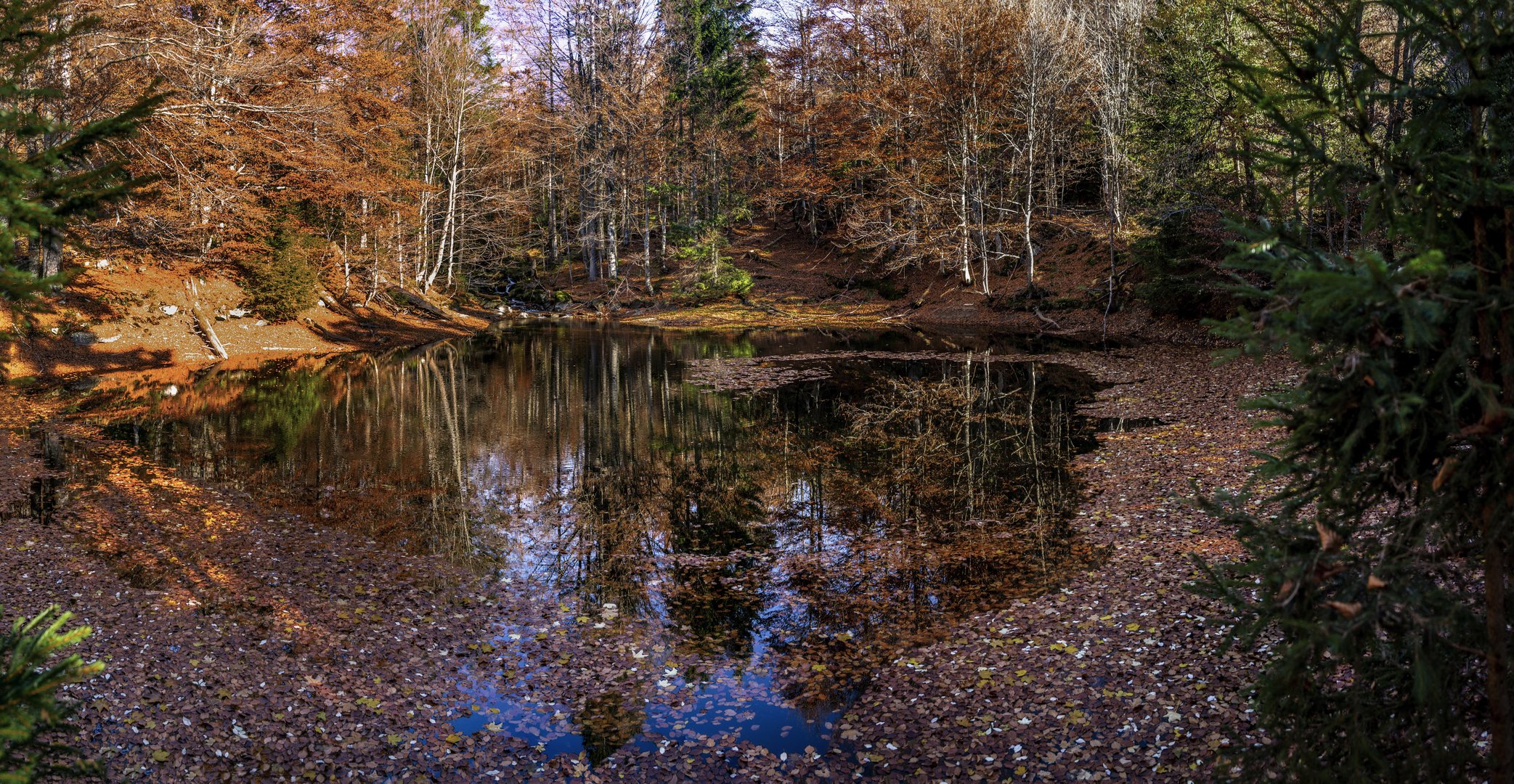 Herbst im Bayerwald