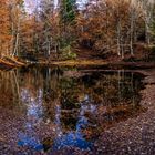 Herbst im Bayerwald