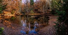 Herbst im Bayerwald