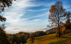 Herbst im Bayerwald