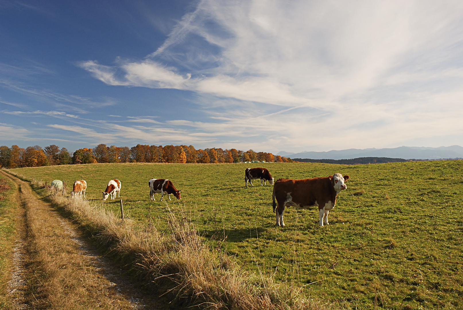 Herbst im Bayrischen Oberland