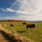 Herbst im Bayrischen Oberland