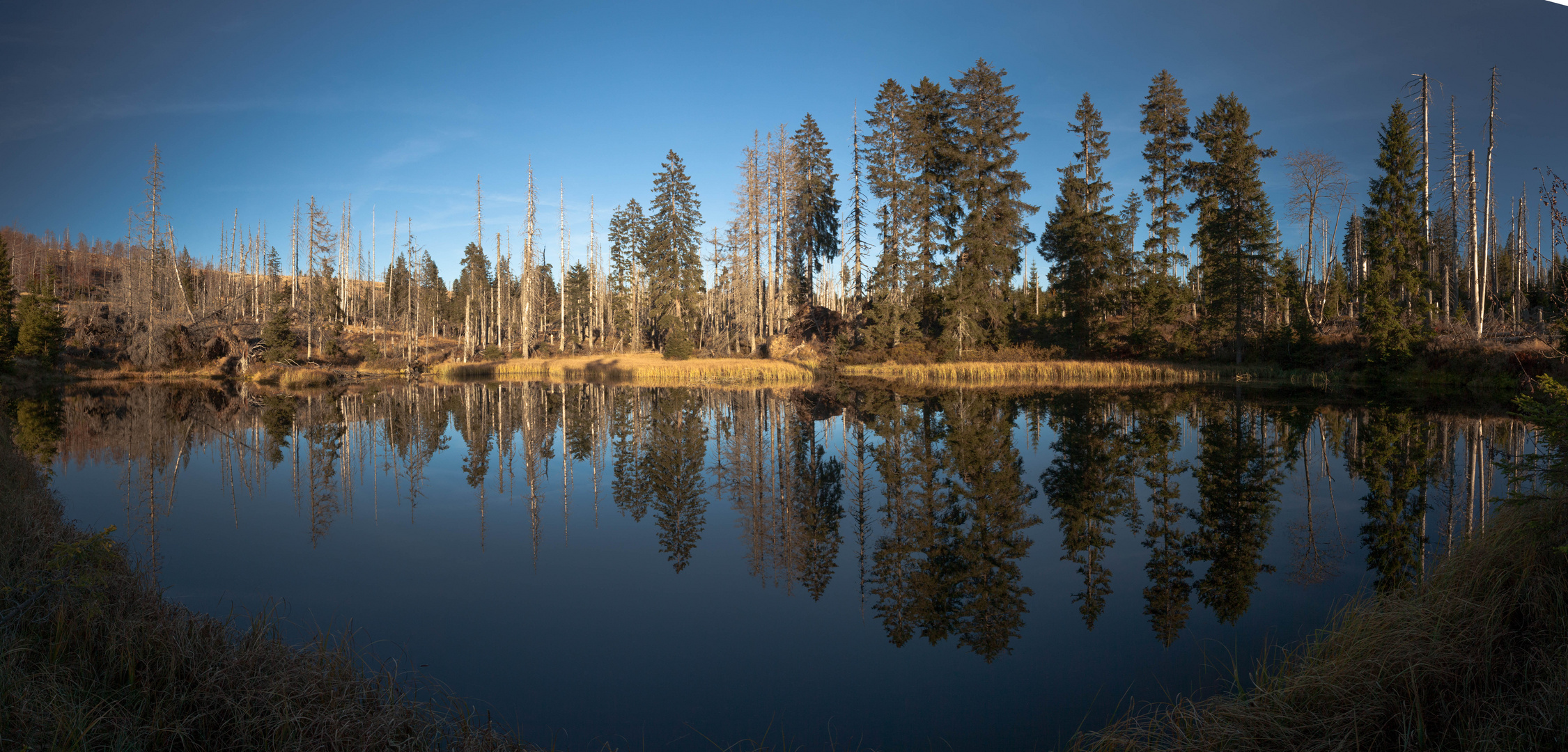 Herbst im Bayrischen Wald