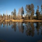 Herbst im Bayrischen Wald