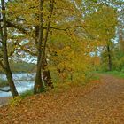 Herbst im Beckerbruch 2