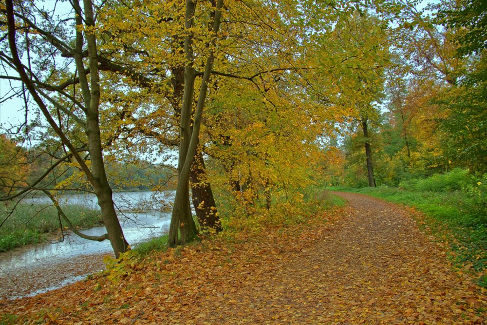 Herbst im Beckerbruch 2