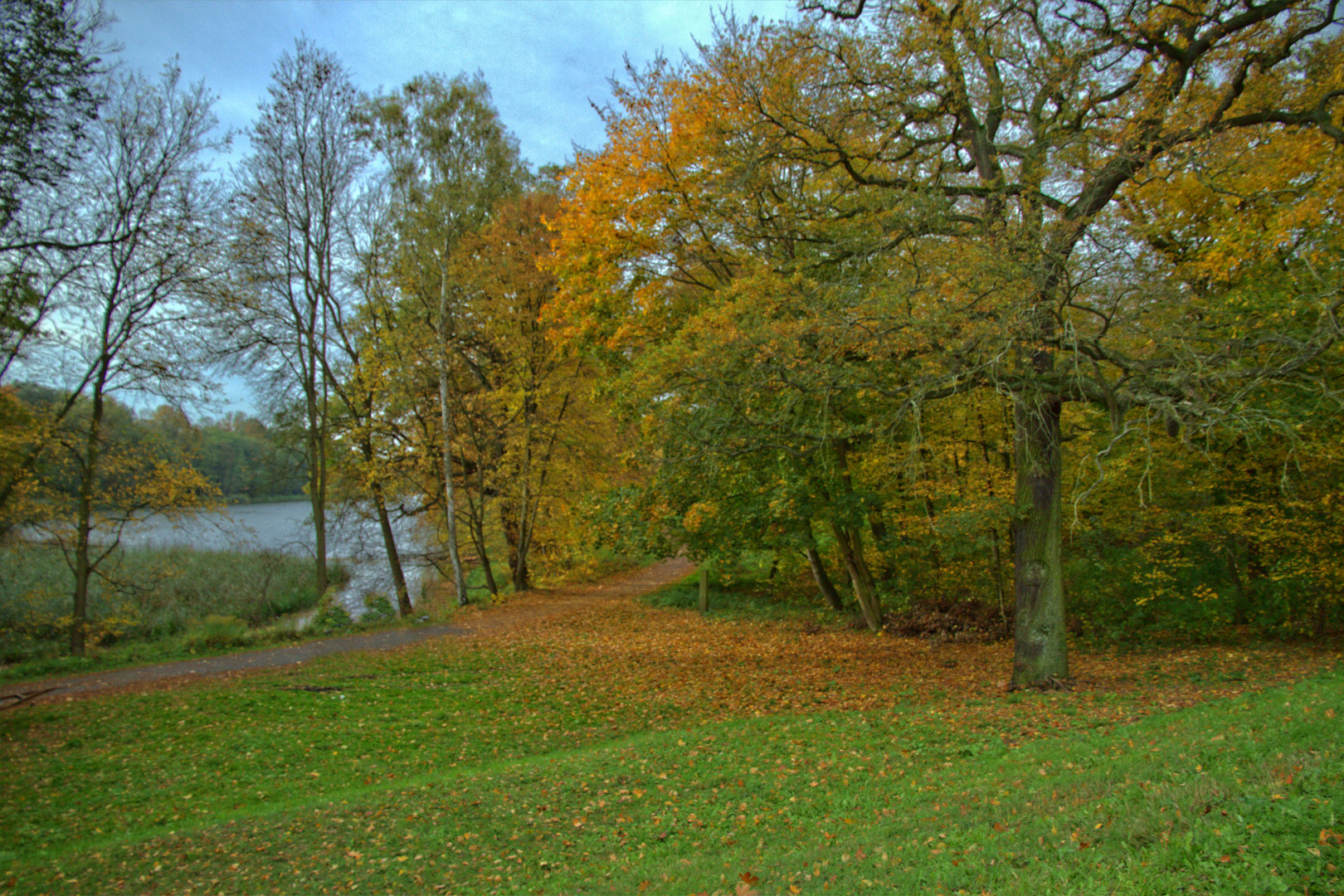 Herbst im Beckerbruch