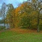 Herbst im Beckerbruch