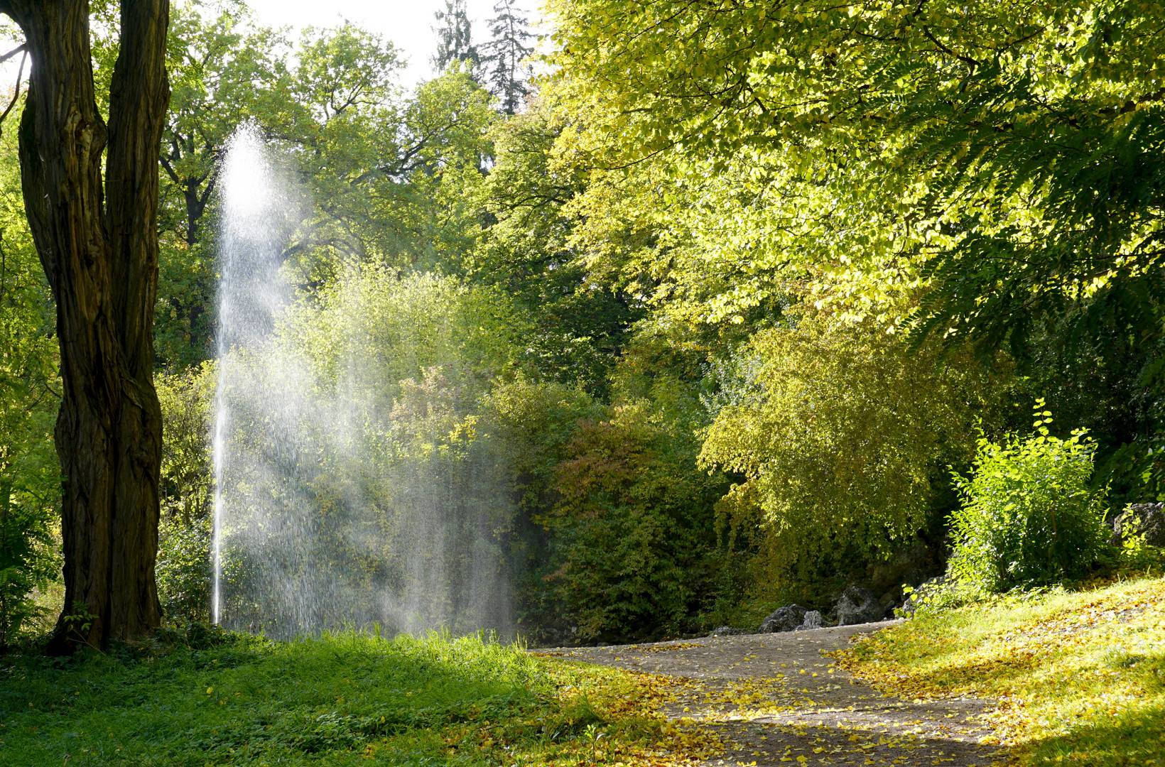 Herbst im Belvedere