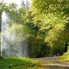 Herbst im Belvedere