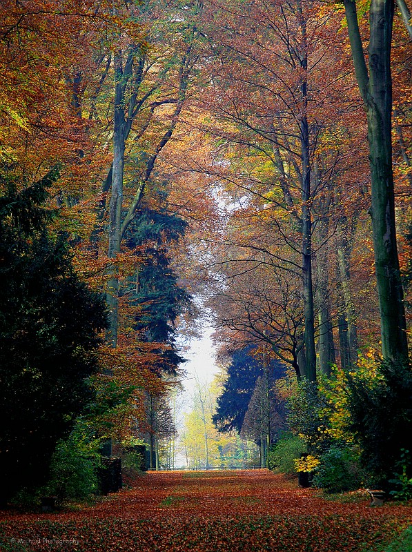 Herbst im Benrather Schlosspark