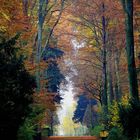 Herbst im Benrather Schlosspark