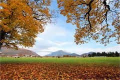 ~ Herbst im Berchtesgadener Land ~