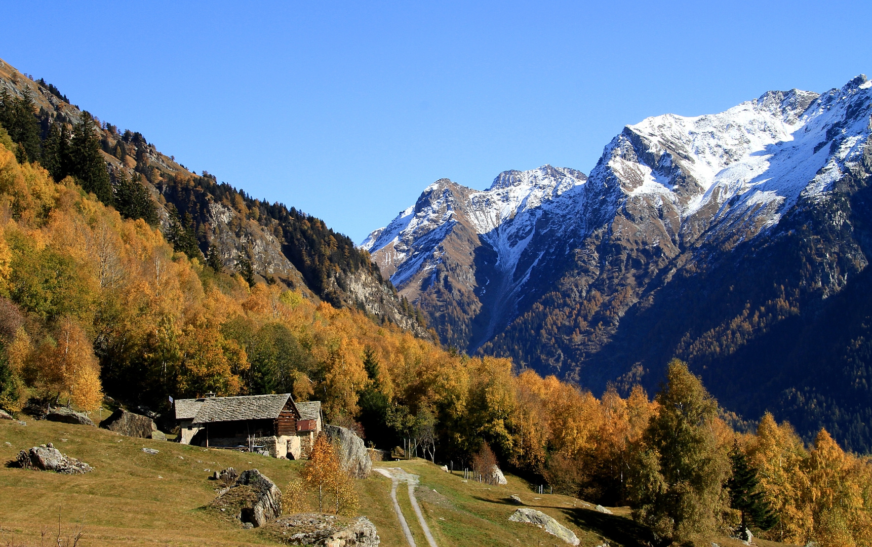 Herbst im Bergell