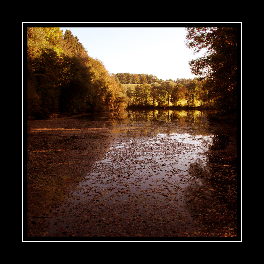 Herbst im Bergener Moos II