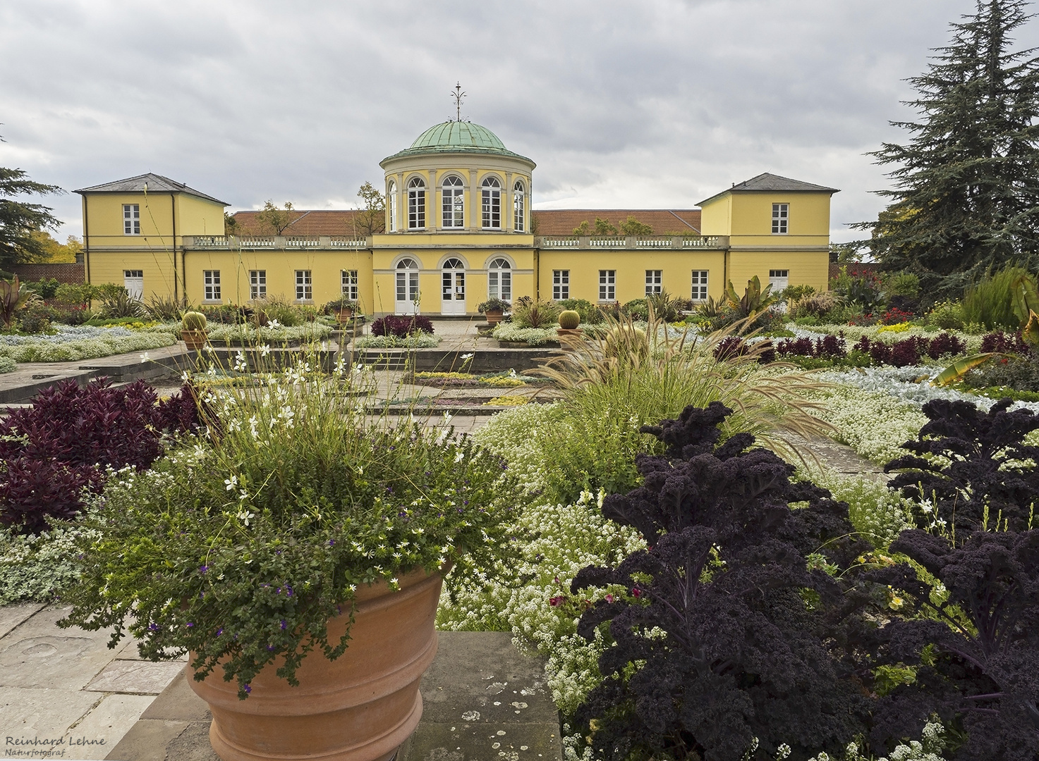 Herbst im Berggarten 3