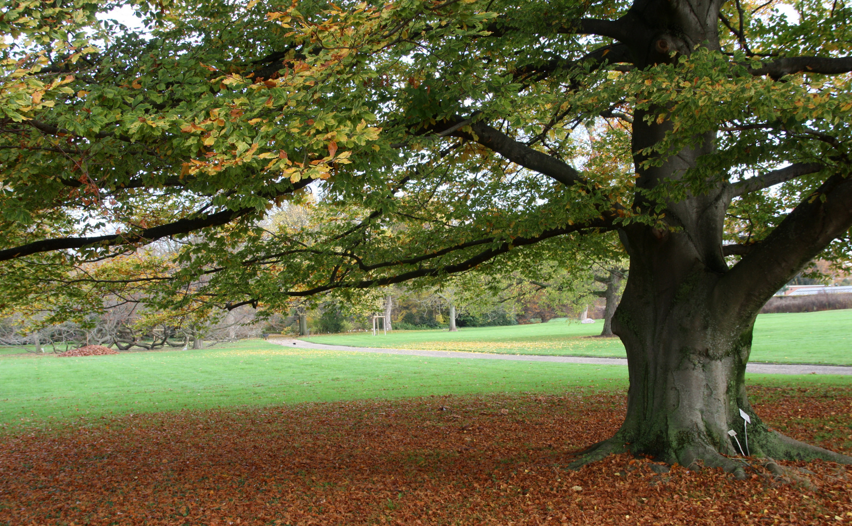 Herbst im Berggarten