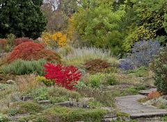  Herbst im Berggarten  