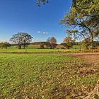 Herbst im Bergischen