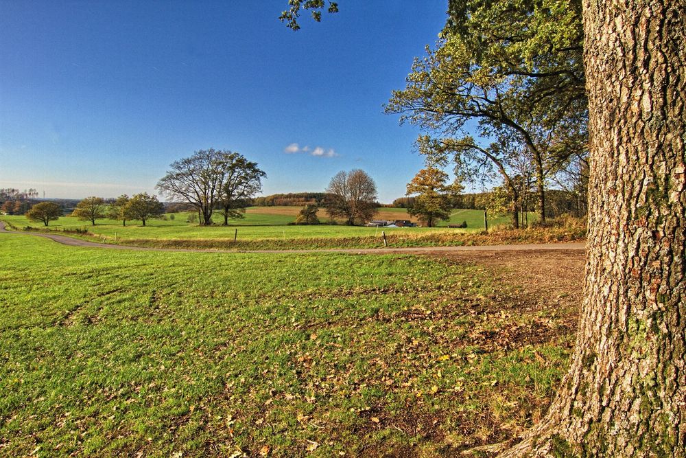 Herbst im Bergischen