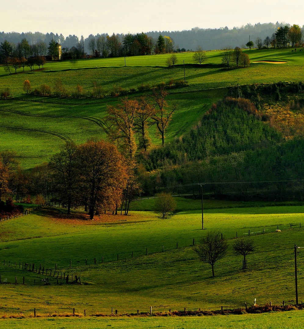 herbst im bergischen