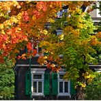 herbst im bergischen land.....