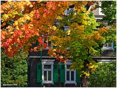 herbst im bergischen land.....