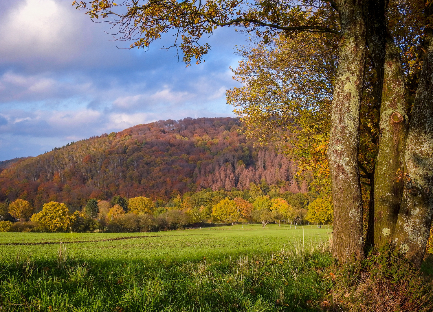 Herbst im Bergischen Land