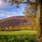 Herbst im Bergischen Land