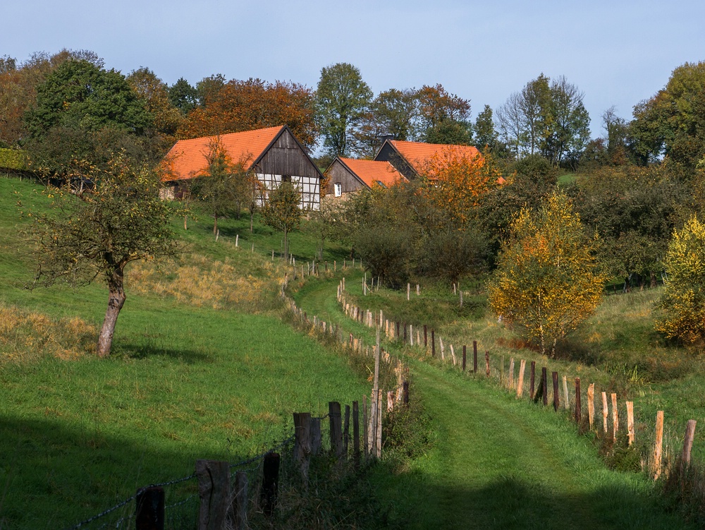 Herbst im Bergischen Land