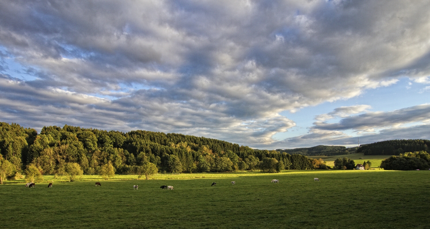 Herbst im Bergischen Land