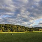 Herbst im Bergischen Land